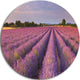 Lavender Flower Rows In France, Landscape Disc Metal Artwork, 11"