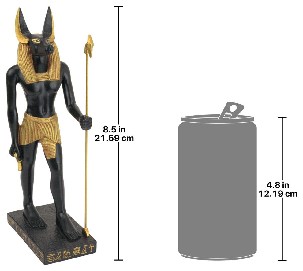 Anubis Jackal God