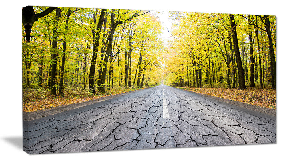 Cracked Road in the Forest, Large landscape Canvas Art Print, 60"x28"