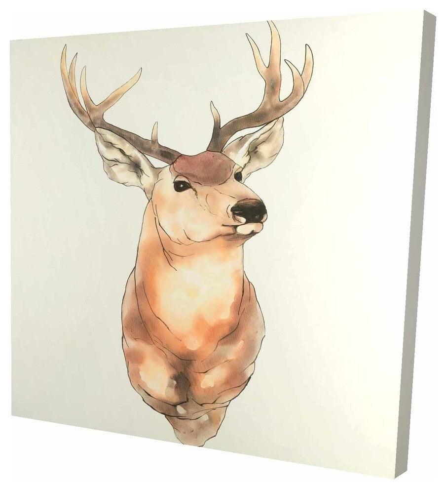 Deer Portrait, Fine Art Gallery Wrapped Canvas, 24"x24"