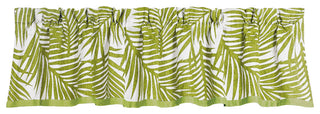 Fern Valance