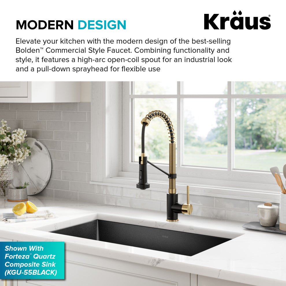 Bolden Commercial Style 2-Function Pull-Down 1-Handle 1-Hole Kitchen Faucet, Brushed Brass/ Matte Black