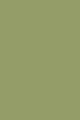 Olive Dead Flat Paint