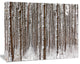Dense Pine Forest in Winter, Landscape Canvas Art Print, 20"x12"
