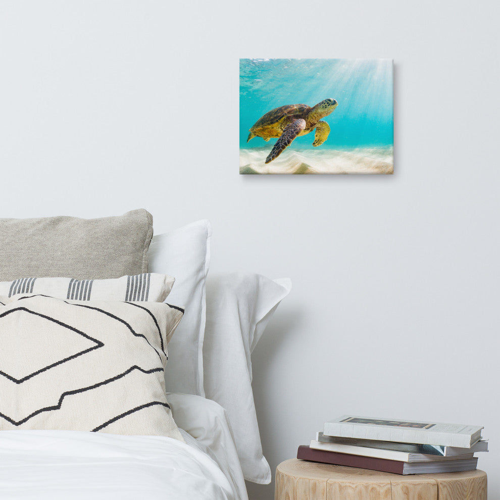Hawaiian Green Sea Turtle Sea Animal Wildlife Photograph Canvas Wall Art Print, 12" X 16"