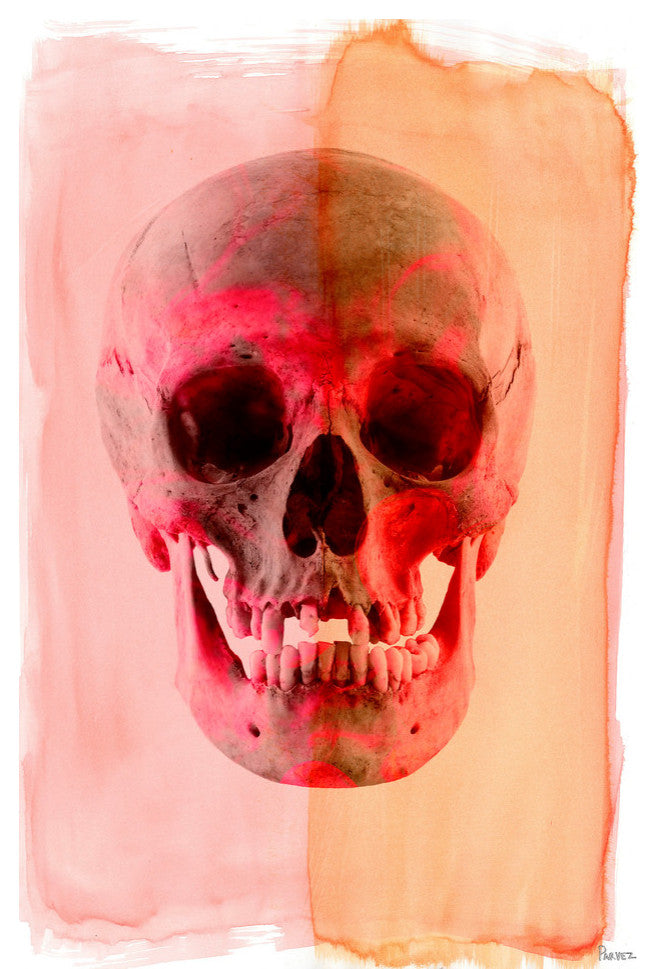 "Skull" Fine Art Canvas Print, 16"x24"