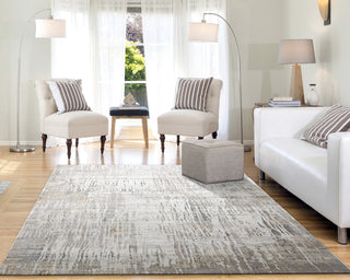 Dynamic Rugs Capella Shrink Poly Area Rug, Gray/Gold, 3'x6'