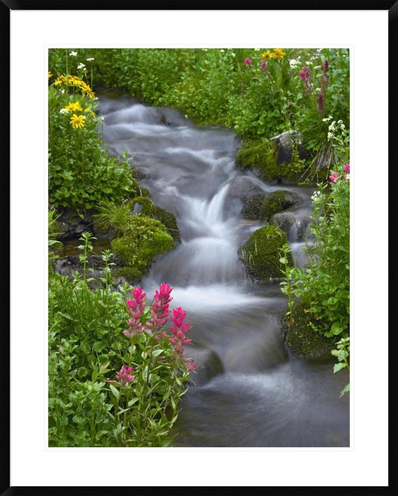 Orange Sneezeweed and Indian Paintbrush, Yankee Boy Basin, Colorado, 30"x38"