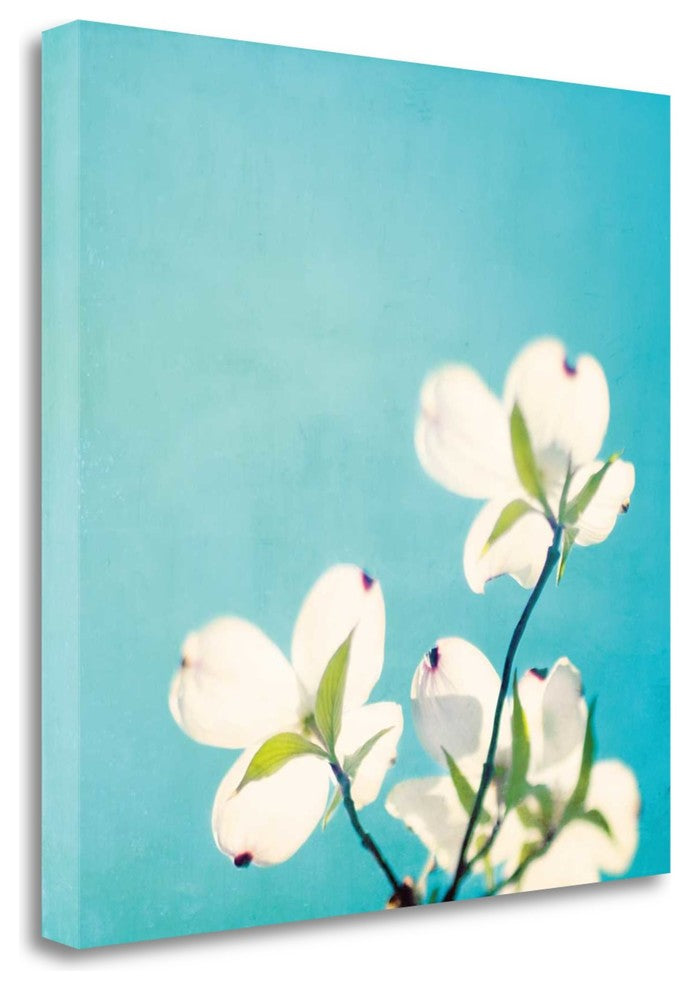"A Life So Colorful" By Carolyn Cochrane, Giclee Print on Gallery Wrap Canvas