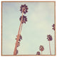 Catherine McDonald Streets Of Los Angeles Framed Wall Art