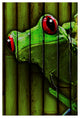 "Camo Frog" by Dana Brett Munach, Canvas Art, 30"x47"