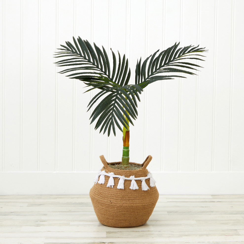 Lifestyle image showing the palm in a woven pot in a real-room environment; not on a solid white background.