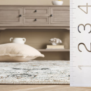 Safavieh Alenia Collection ALN117 Rug, Grey/Beige Gold, 6'7" Square