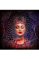 Lady's Photographic Portrait | Andrew Martin Star Gaze, Medium