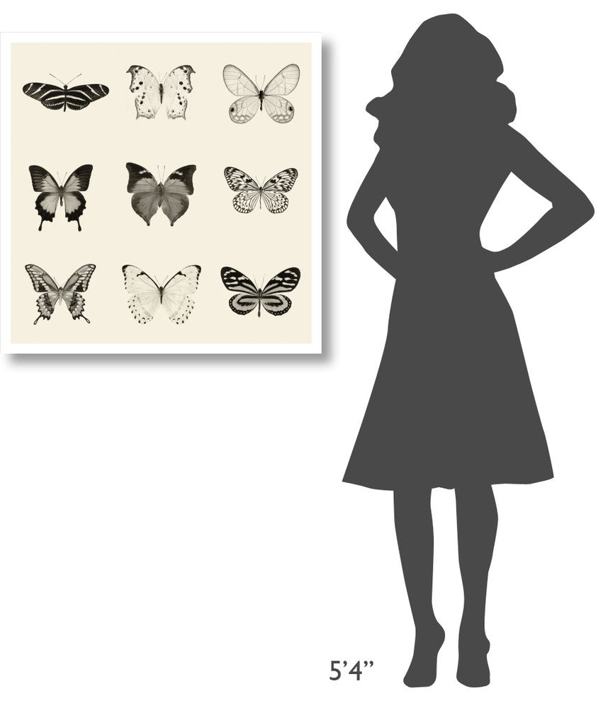 "Butterfly - BW 9 Patch" Digital Paper Print by Debra Van Swearingen, 32"x32"