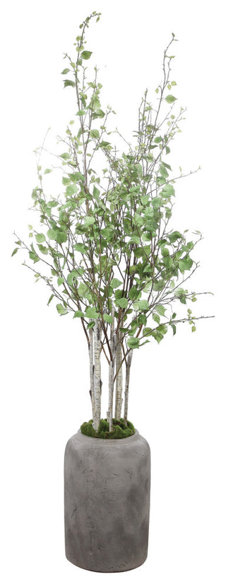 Uttermost Aldis Potted River Birch