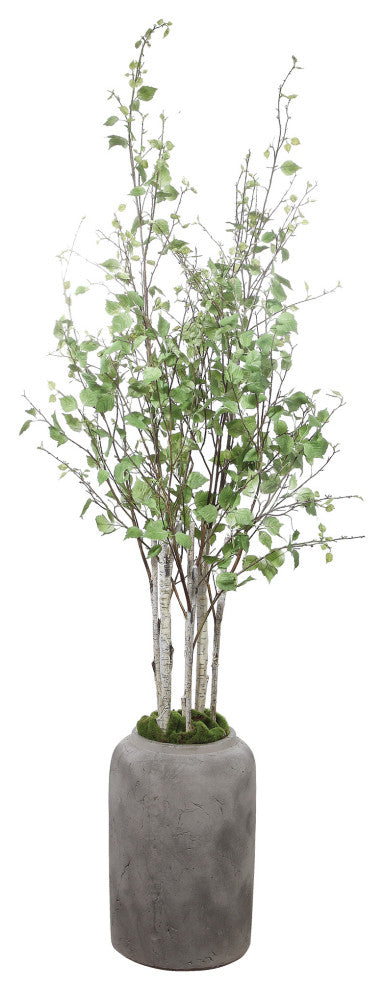 Uttermost Aldis Potted River Birch