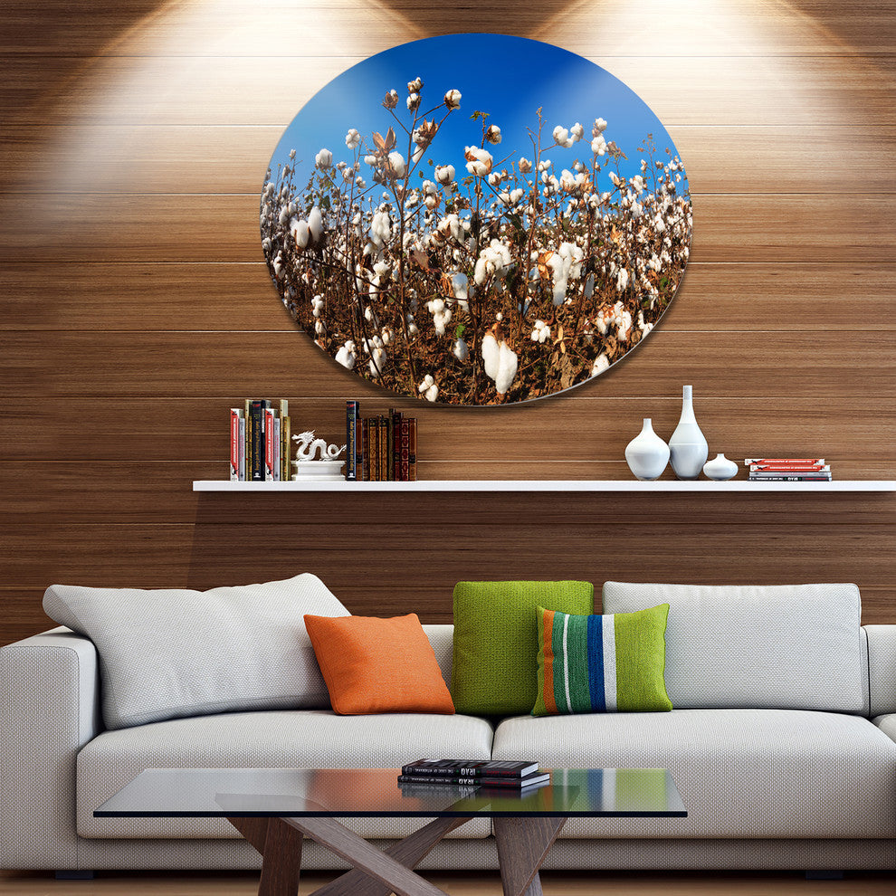 Blooming Alabama Cotton Field, Landscape Large Disc Metal Wall Art, 11"