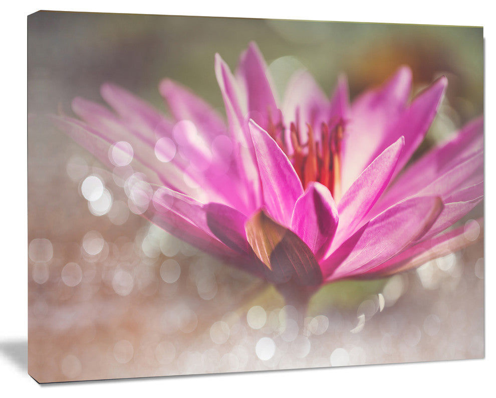 Pink Lotus on Abstract Background, Floral Canvas Art Print, 40"x30"