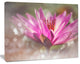 Pink Lotus on Abstract Background, Floral Canvas Art Print, 40"x30"
