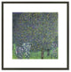 Roses under the Trees, c.1905