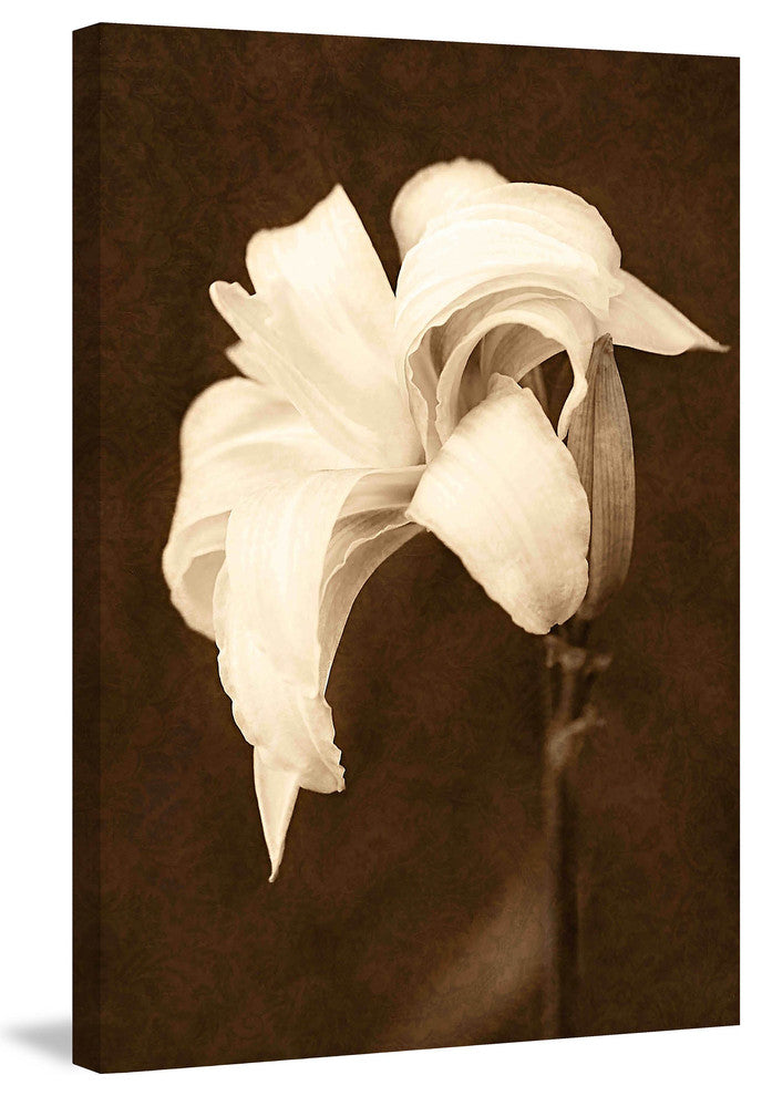 "Petal Profusion" Painting Print on Canvas by Robertson