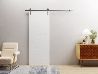 Barn Door 28x84"