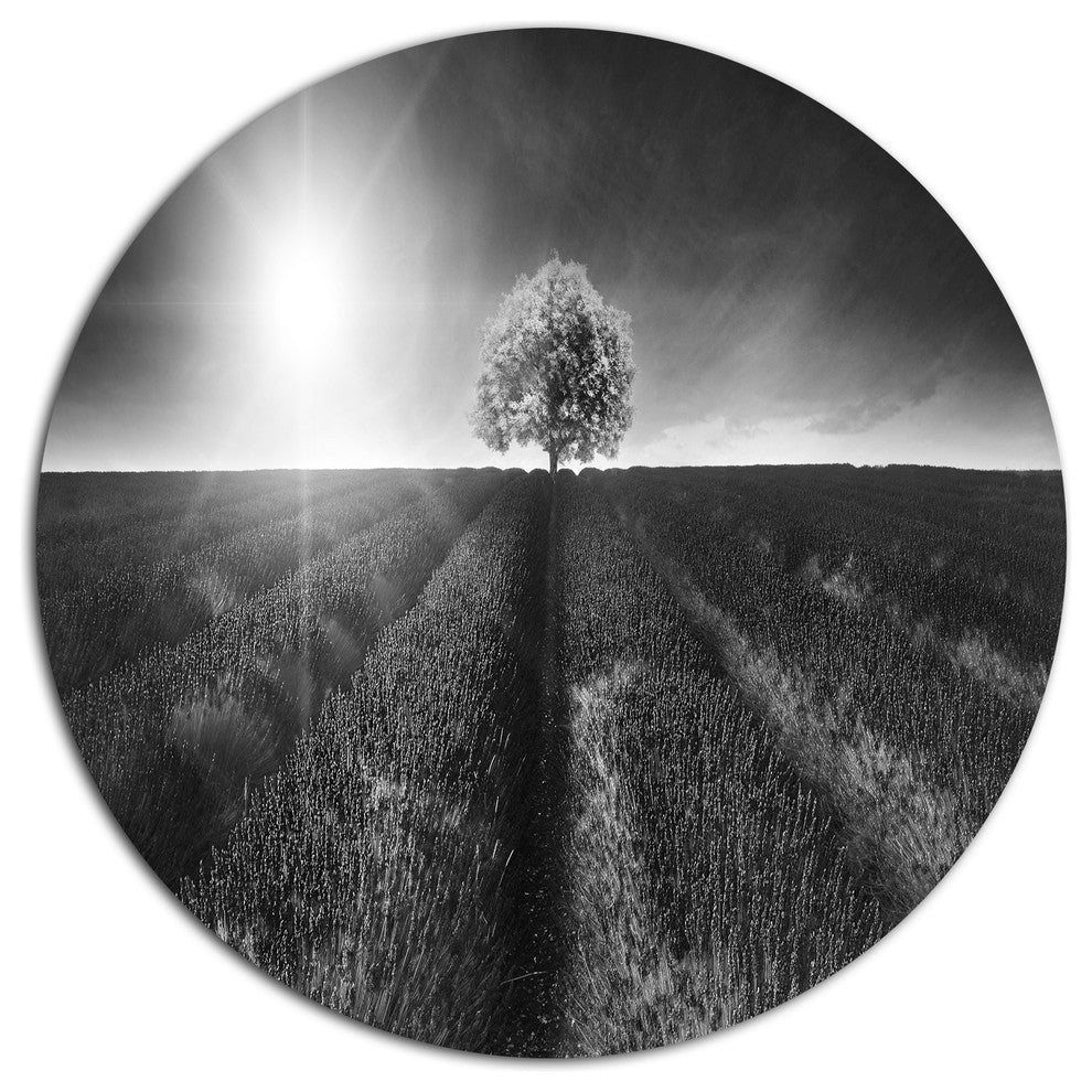 Beautiful Black White Lavender Field, Landscape Disc Metal Artwork, 11"