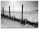 "Landscape in Snow With Fence" Oversized Beach Metal Wall Art, 3 Panels, 36"x28"