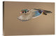 "Wood Duck" Stretched Canvas Giclee by Mircea Costina, 18x12"