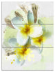 Frangipani Flowers Watercolor, Floral Triptych Canvas Art Print, 28x36, 3 Panels