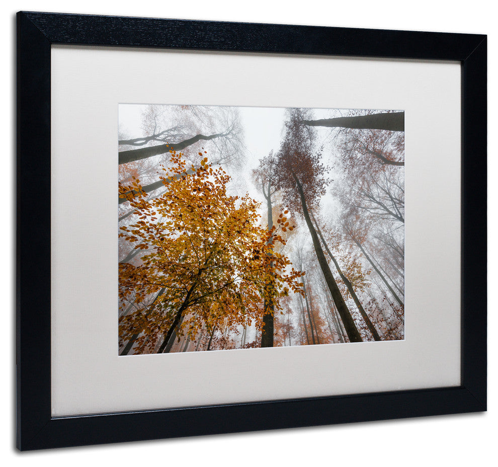 'Daydreamer' Matted Framed Canvas Art by Philippe Sainte-Laudy