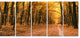 Pathway in Yellow Autumn Forest, Forest Canvas Art Print, 60"x28", 5 Panels