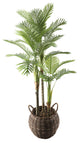 62" Palm In 15" Basket