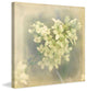"If She Spoke" Painting Print on Canvas by Jorgensen