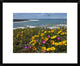 California Poppy and Iceplant, Montano De Oro State Park, California, 22"x18"