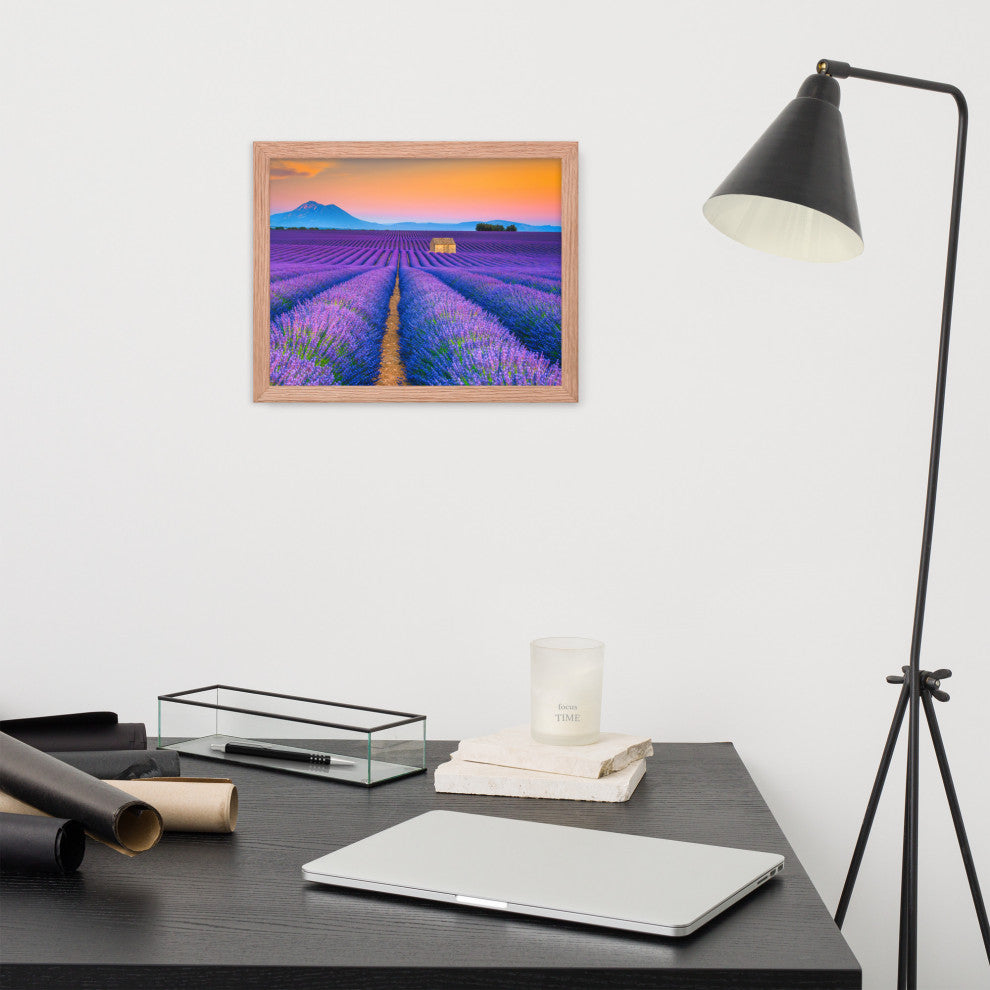 Blooming Lavender Field and Sunset Floral Landscape Framed Photo Wall Art Prints, Red Oak, 11" X 14"