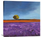 Field of Lavender, 36"x36"
