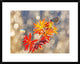 "September Moments" Framed Digital Print by Vajda Beci, 30"x24"
