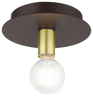 Bronze Transitional, Versatile, Modern, Urban, Minimal Flush Mount
