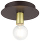 Bronze Transitional, Versatile, Modern, Urban, Minimal Flush Mount