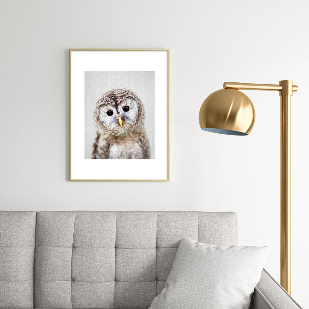 Gal Design Baby Owl Colorful Metal Framed Art Print