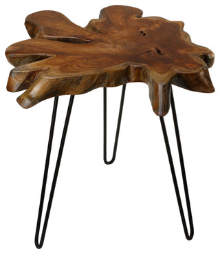 Bare Decor Evan Accent End Table With Solid Teak Root Top