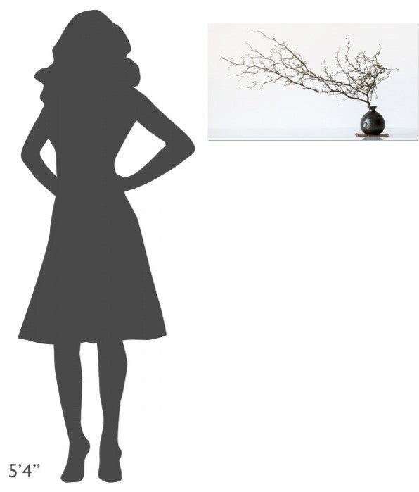 "Vase And Branch" Stretched Canvas Giclee by Prbimages, 30x17"