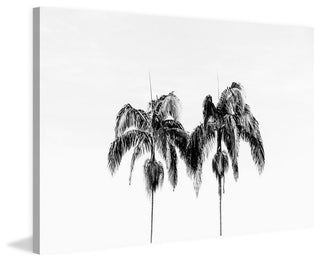 "Two of a Kind" Painting Print on Wrapped Canvas