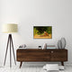 "Redfox, Algonquin Park" Framed Canvas Giclee by Jim Cumming, 31x21"