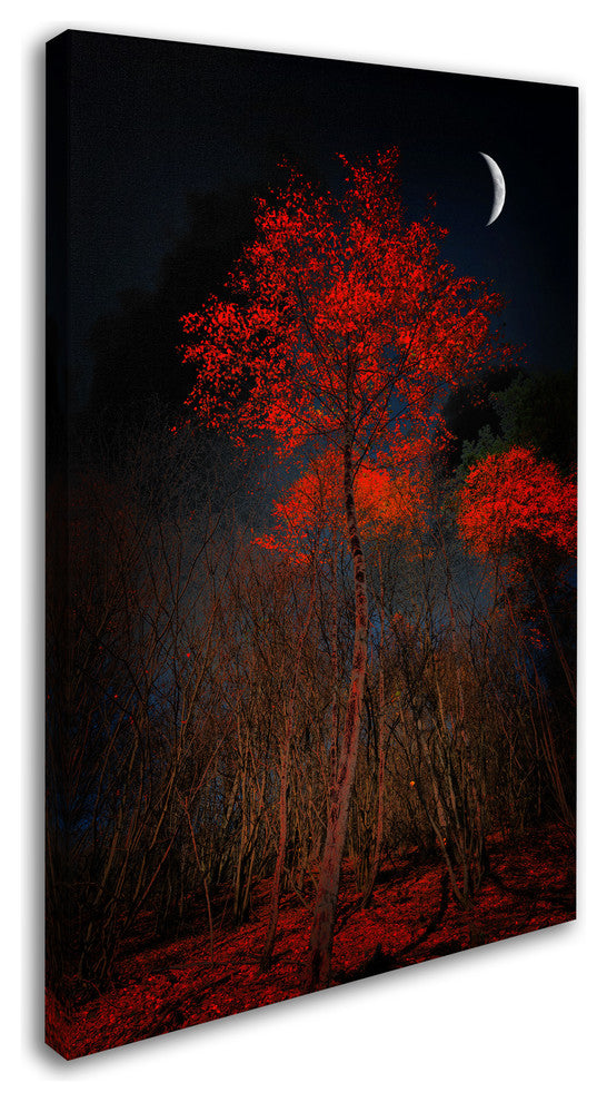 Philippe Sainte-Laudy 'The Why' Canvas Art, 12"x19"