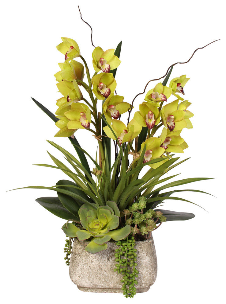 Alluring Green Real Touch Cymbidium Orchid & Succulents in a Textured Cement Pot