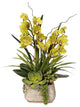 Alluring Green Real Touch Cymbidium Orchid & Succulents in a Textured Cement Pot
