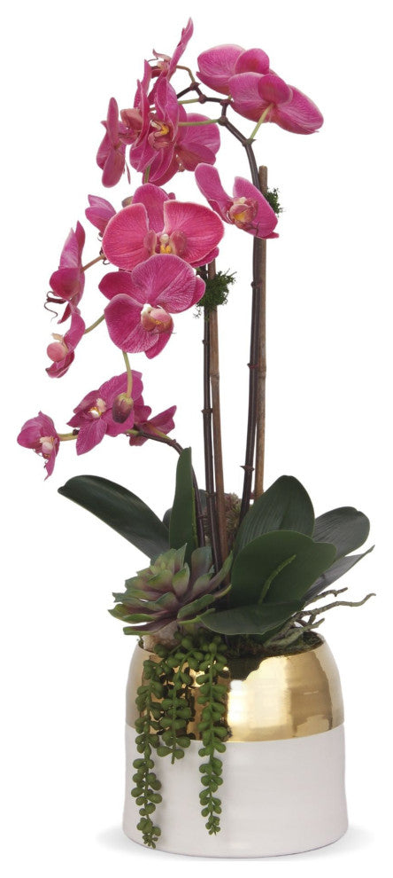 Fuchsia Orchids Arrangement, Round Ceramic Pot